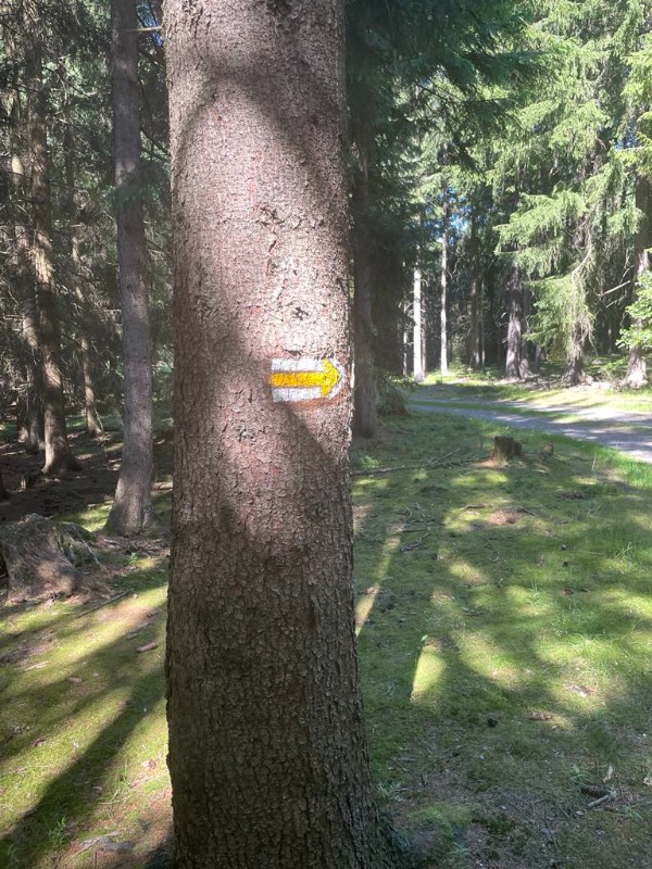 Prázdninová družina Cesta z města