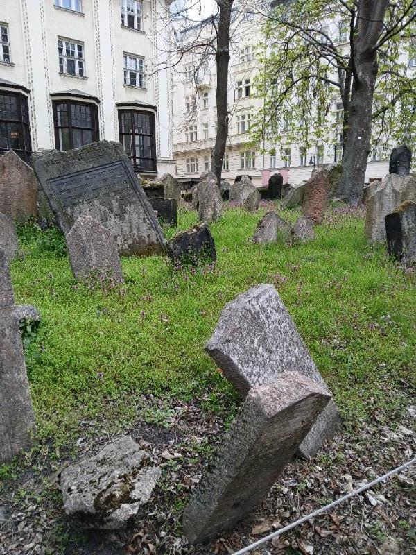 Dějepisná exkurze do Prahy