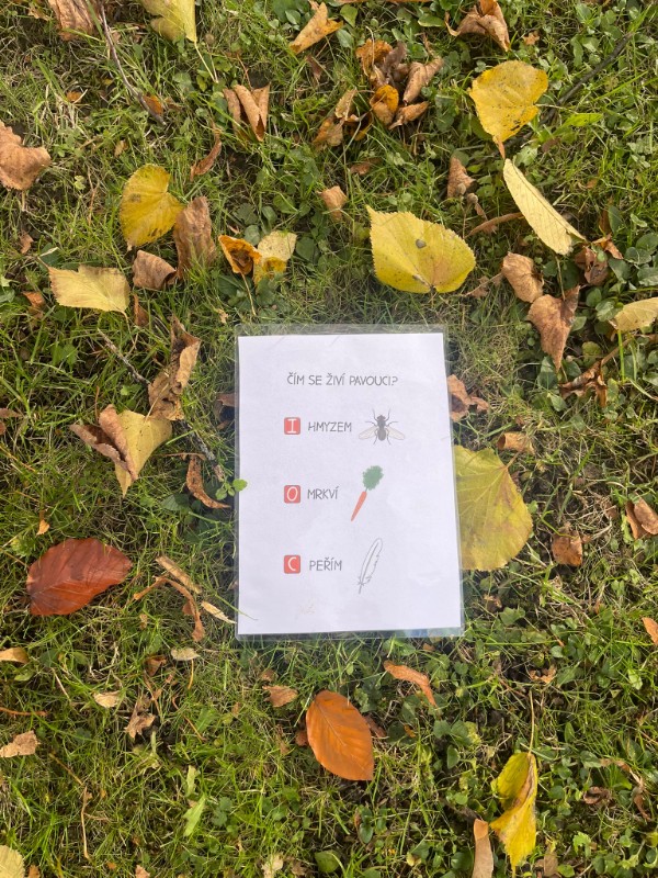 Halloween ve školní družině Halloween ve školní družině