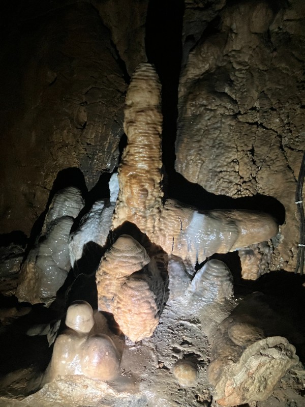 Exkurze deváťáků do Sloupsko-šošůvských jeskyní a do Jaderné elektrárny Dukovany