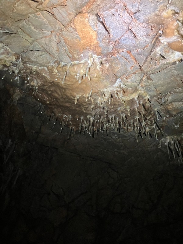 Exkurze deváťáků do Sloupsko-šošůvských jeskyní a do Jaderné elektrárny Dukovany