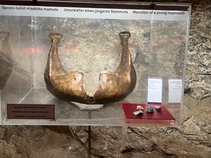 Exkurze deváťáků do Sloupsko-šošůvských jeskyní a do Jaderné elektrárny Dukovany