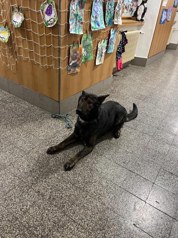 Koumáci a rodiče v akci