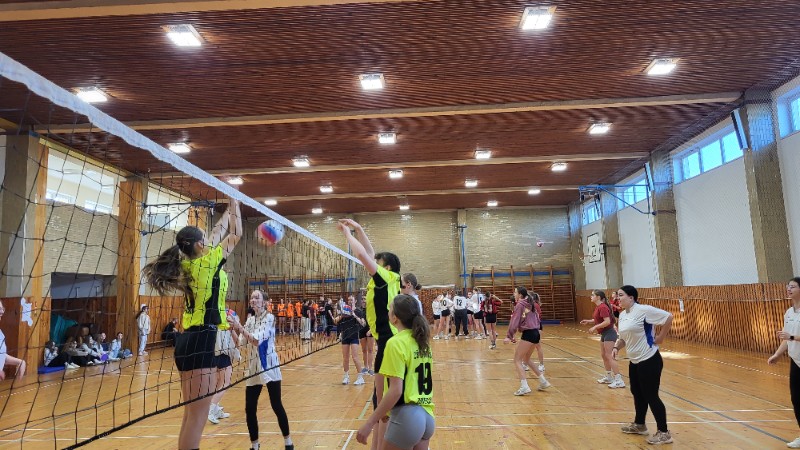 Přivezly jsme pohár!