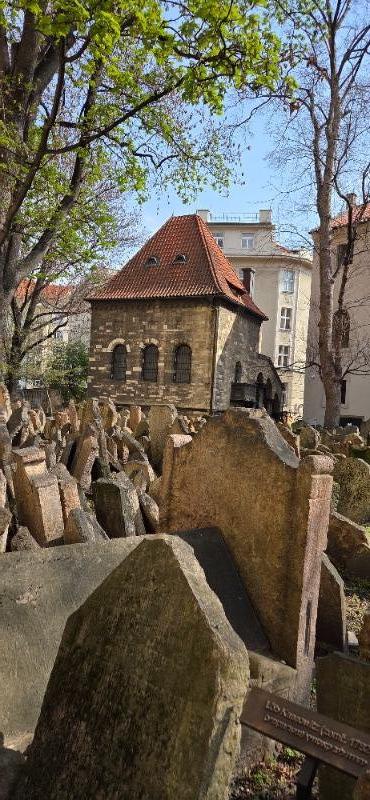 Dějepisná exkurze do Prahy