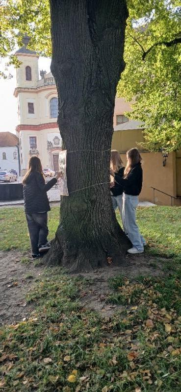 VÝSTAVA NA STROMECH OPĚT V LITOMYŠLI: POZNEJTE SVĚT GHANSKÉHO KAKAA