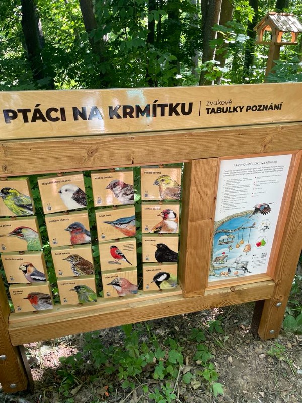 Prázdninová družina Cesta z města