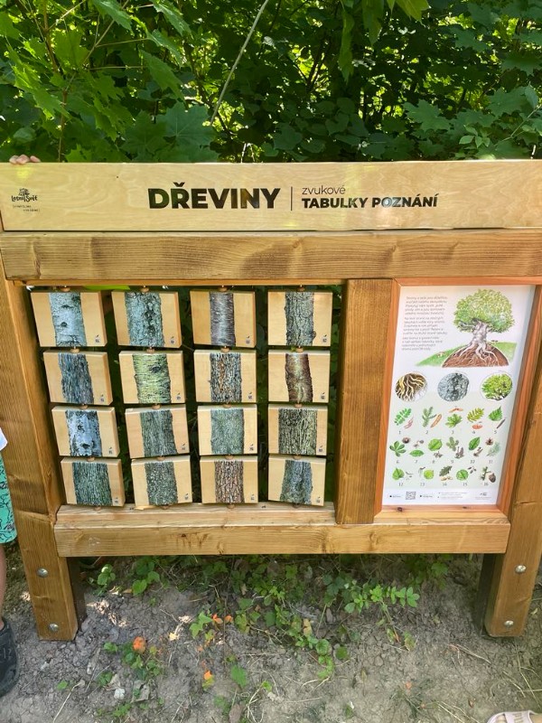 Prázdninová družina Cesta z města