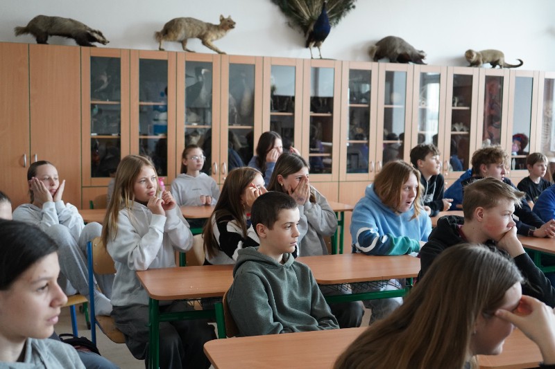 Cesta na vozík