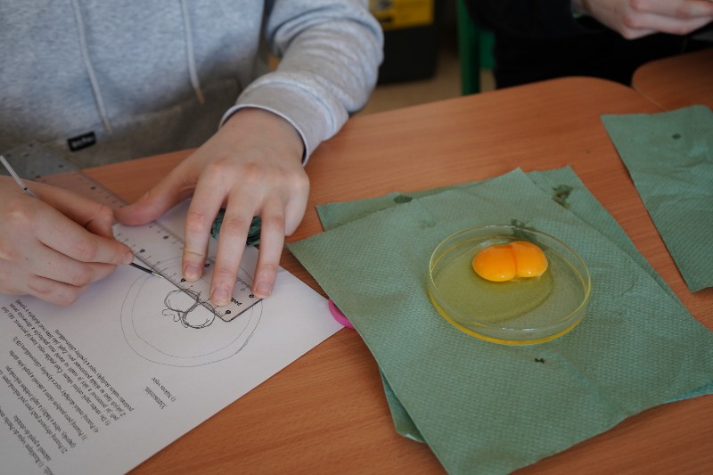 Laboratorní práce v přírodopisu 7. ročníku