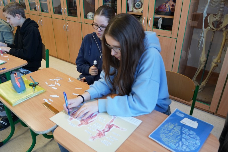 O svalech v 8. třídě