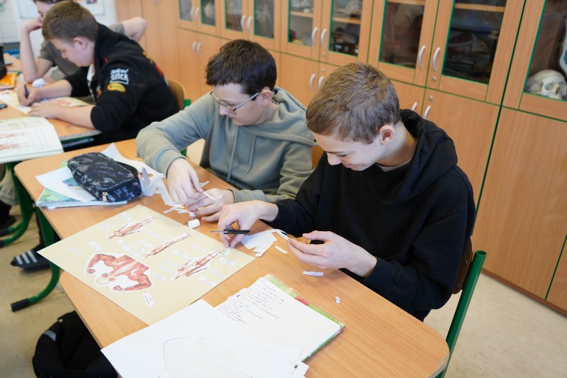 O svalech v 8. třídě