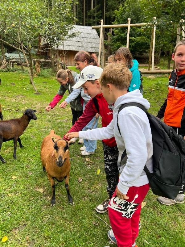 Dějepisná exkurze šesťáků na Křivolík