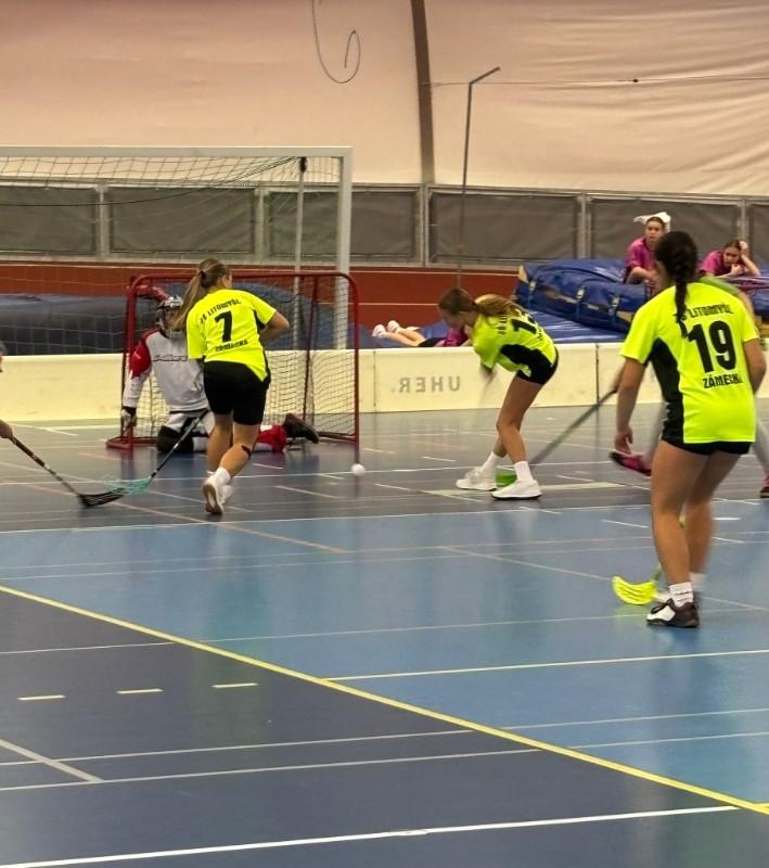 Okresní kolo florbalu dívek