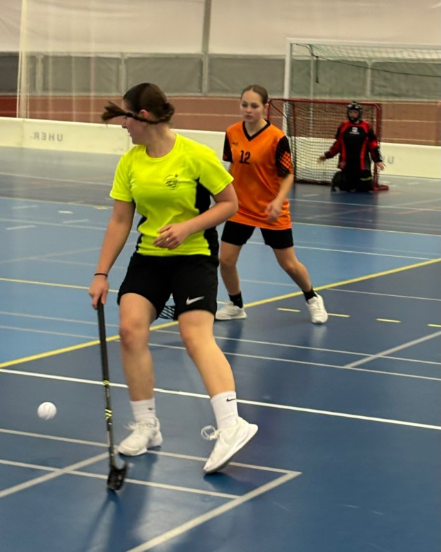 Okresní kolo florbalu dívek