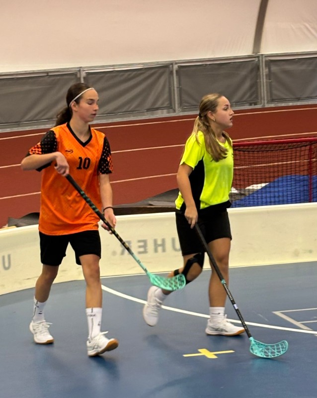 Okresní kolo florbalu dívek