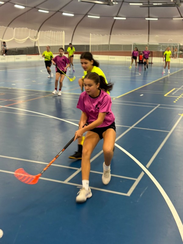 Okresní kolo florbalu dívek