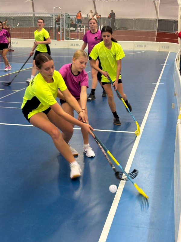 Okresní kolo florbalu dívek