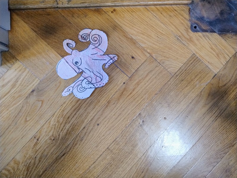 Zvířecí kamufláž