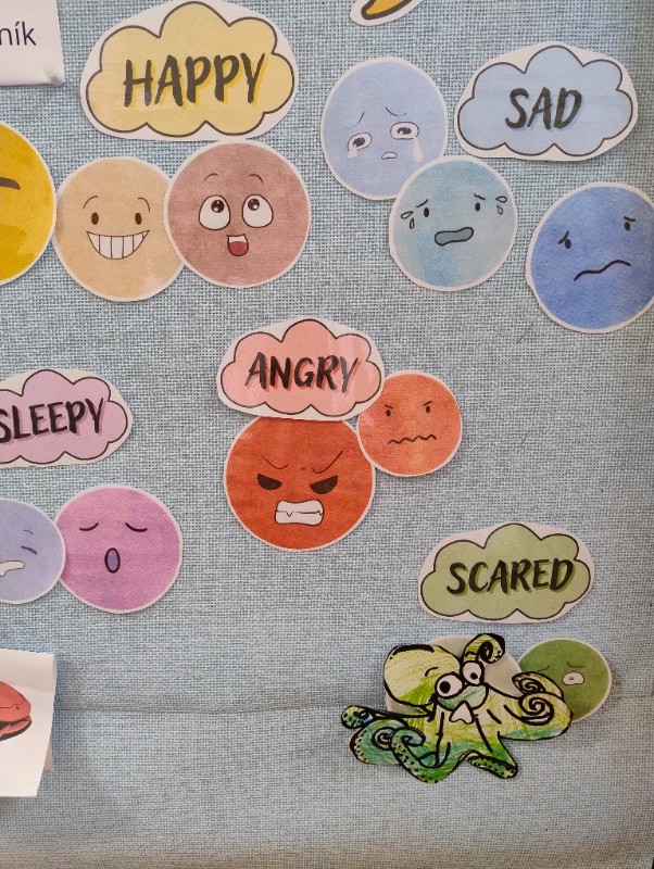 Zvířecí kamufláž