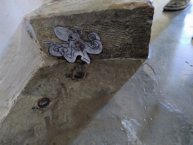 Zvířecí kamufláž