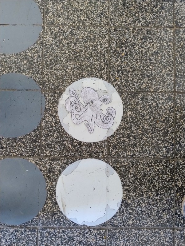 Zvířecí kamufláž