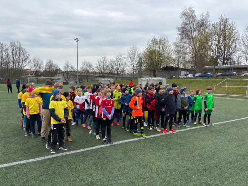 Oblastní kolo McDonalds Cupu