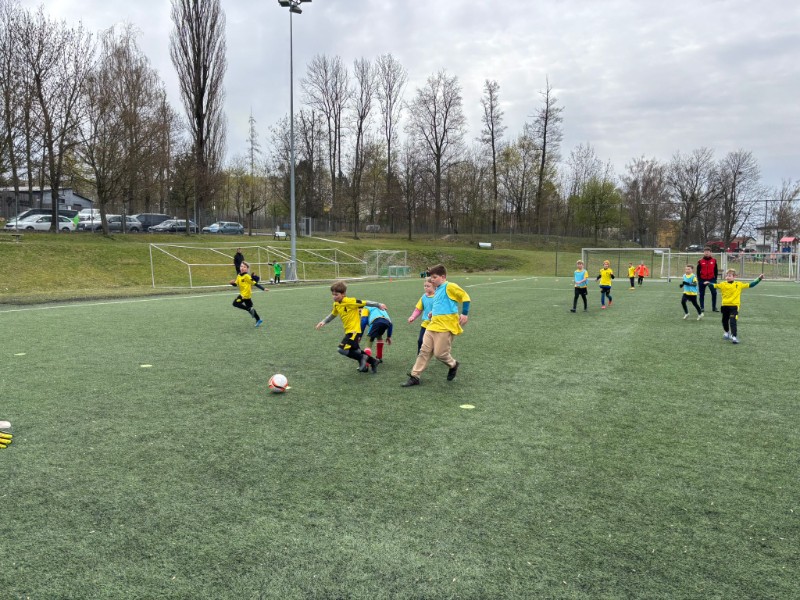 Oblastní kolo McDonalds Cupu