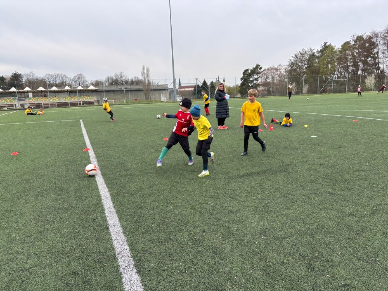 Oblastní kolo McDonalds Cupu