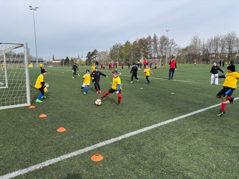 Oblastní kolo McDonalds Cupu Oblastní kolo McDonalds Cupu