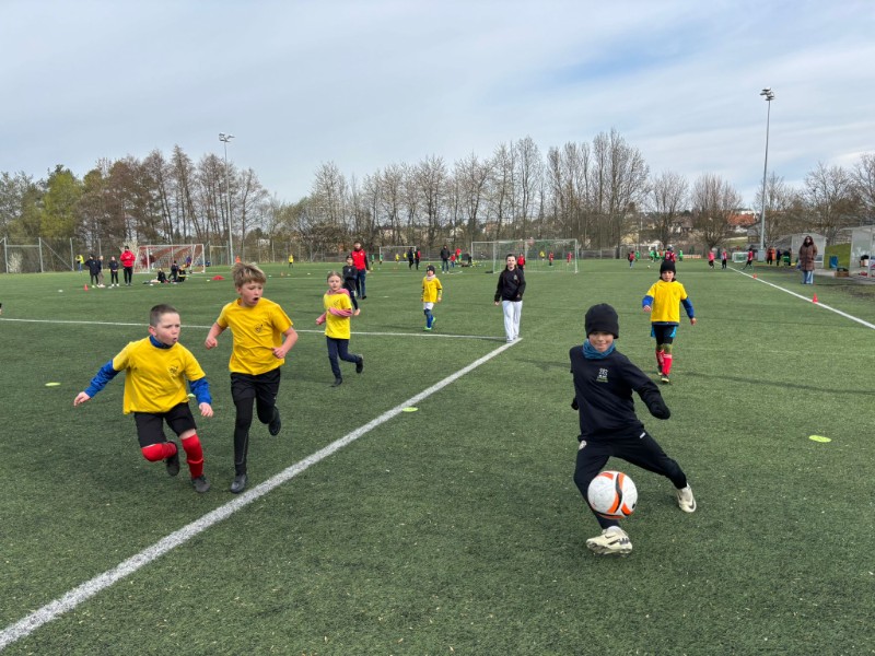 Oblastní kolo McDonalds Cupu