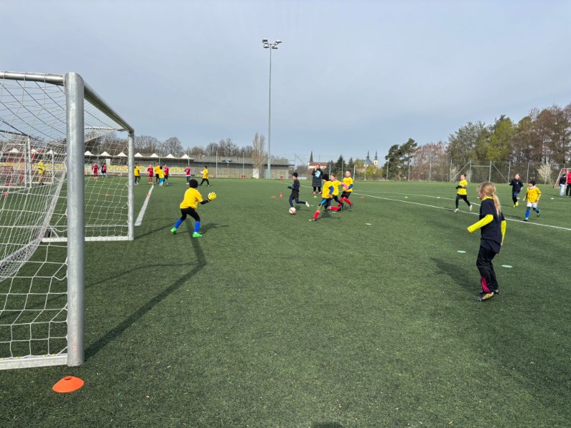 Oblastní kolo McDonalds Cupu Oblastní kolo McDonalds Cupu