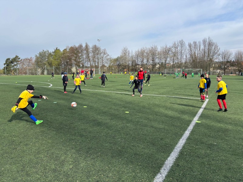 Oblastní kolo McDonalds Cupu