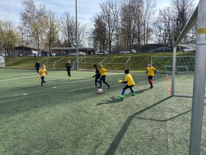 Oblastní kolo McDonalds Cupu Oblastní kolo McDonalds Cupu