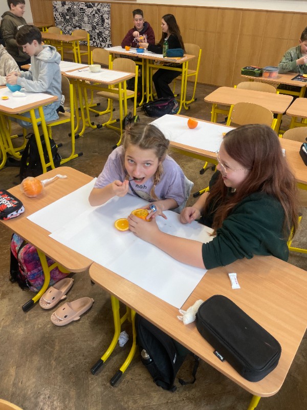 Mumifikace aneb Výuka dějepisu hrou