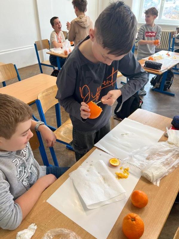 Mumifikace aneb Výuka dějepisu hrou Mumifikace aneb Výuka dějepisu hrou