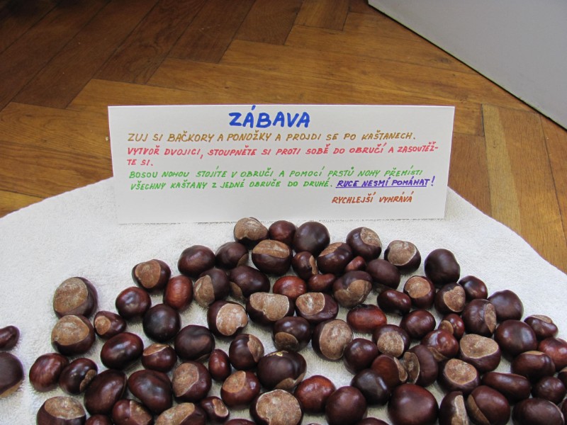 Badatelská výuka v 2. ročníku