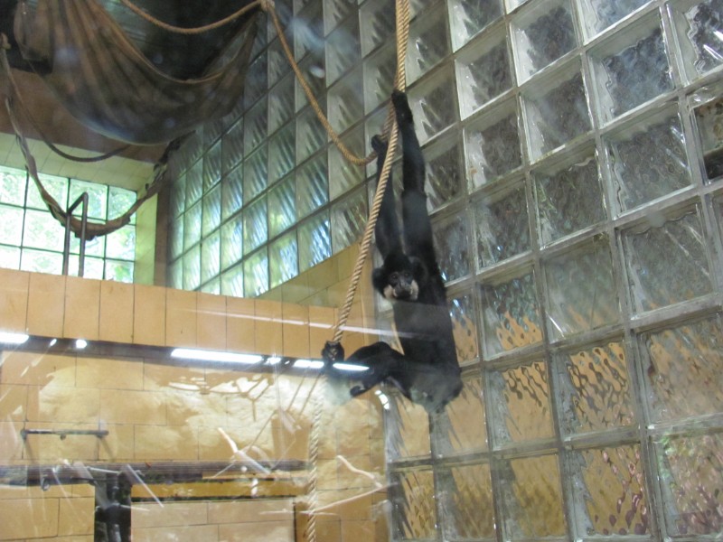 Školní výlet ZOO Olomouc