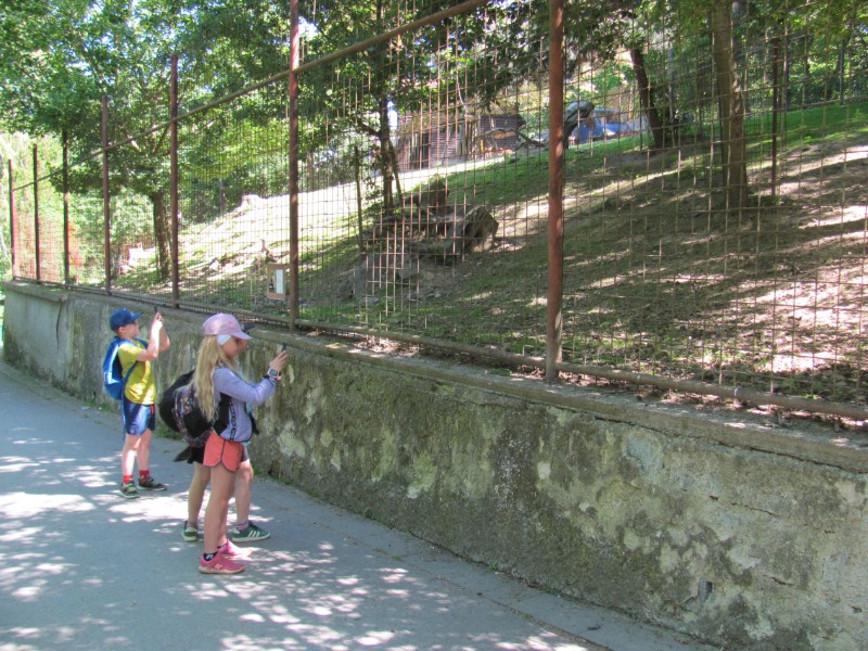 Školní výlet ZOO Olomouc Školní výlet ZOO Olomouc