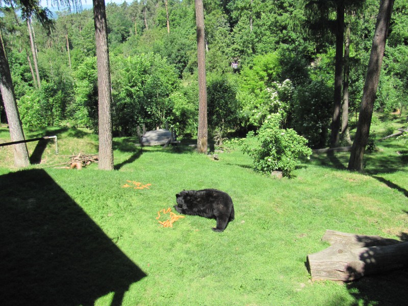 Školní výlet ZOO Olomouc Školní výlet ZOO Olomouc