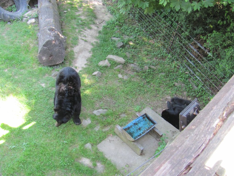 Školní výlet ZOO Olomouc