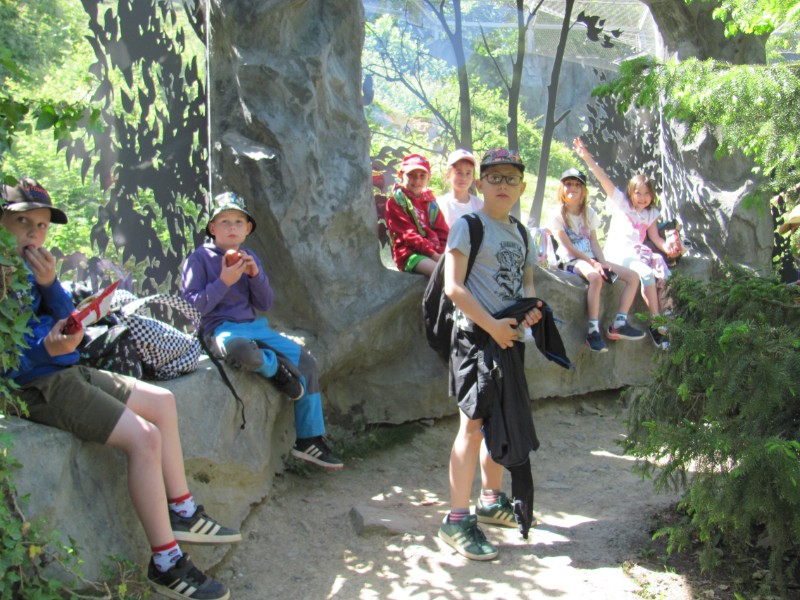 Školní výlet ZOO Olomouc