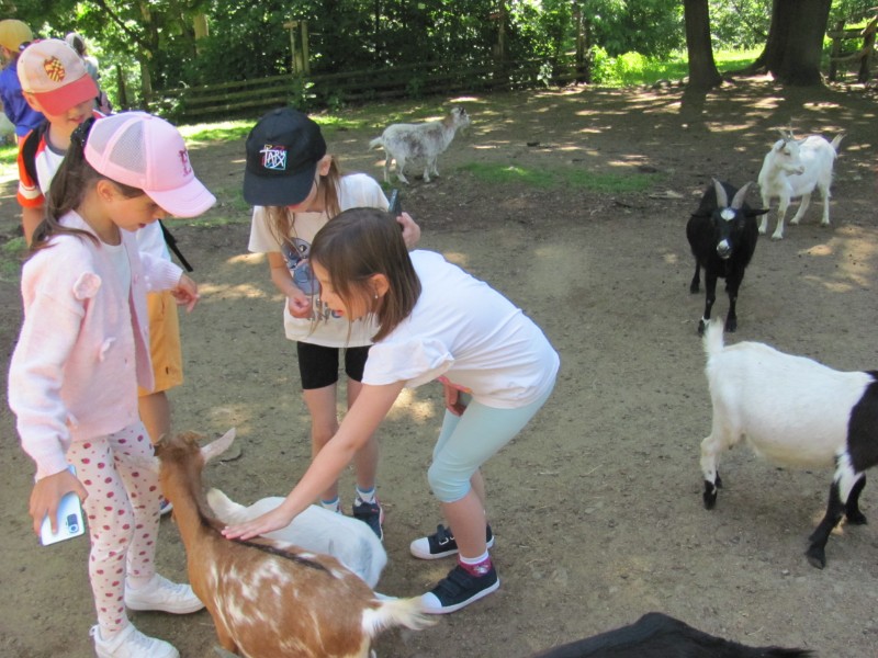 Školní výlet ZOO Olomouc