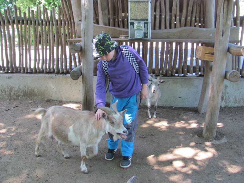 Školní výlet ZOO Olomouc
