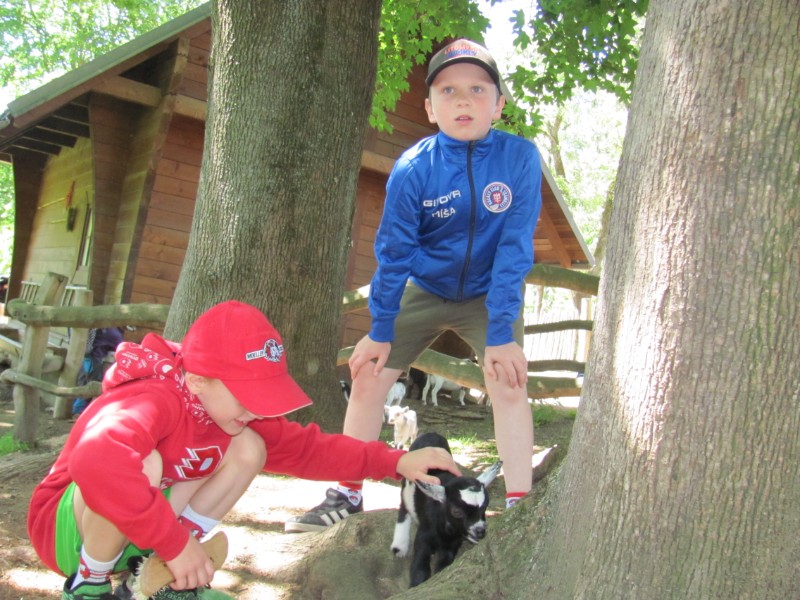 Školní výlet ZOO Olomouc