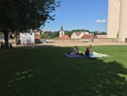 Piknik