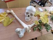 Halloweenský den v 2. ročníku