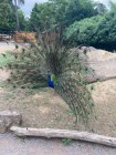 Výlet ZOO Olomouc