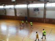 Oblastní kolo v halové kopané Oblastní kolo v halové kopané