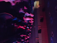 Koncert